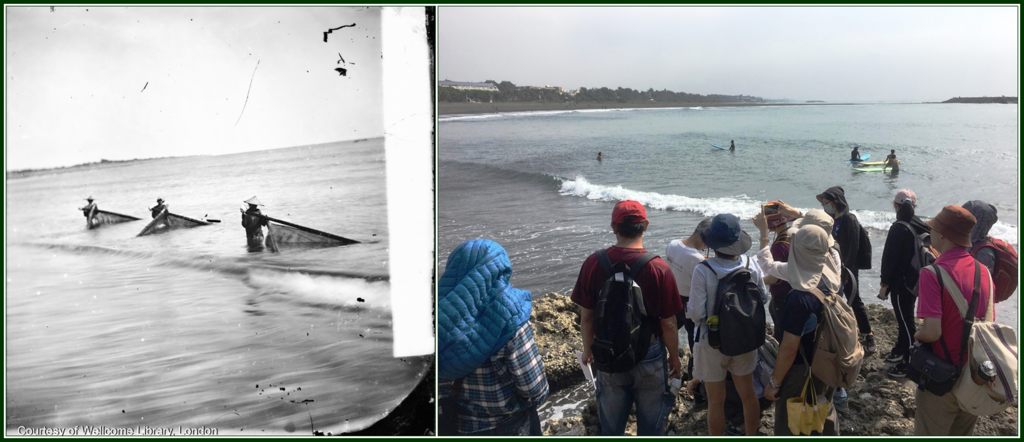 （左）照片25：湯姆生的〈在岸浪中撈魚苗〉影像。（右）照片26：現地對比（攝影：鄭仲傑）.PNG