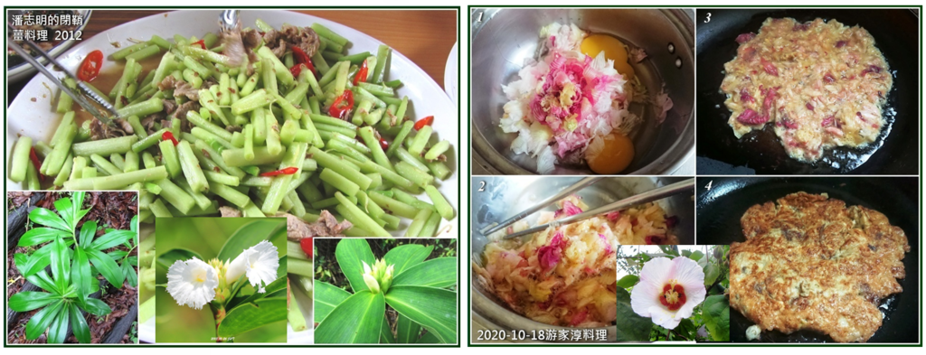 照片2：閉鞘薑料理（潘志明手藝）與山芙蓉或重瓣芙蓉料理（游家淳手藝）.PNG