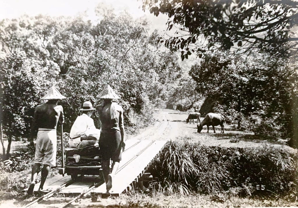 照片2：1930年代，臺灣鄉下的臺車、臺車軌道、臺車苦力與路旁的水牛（徐宗懋，2022-08-10）.jpg