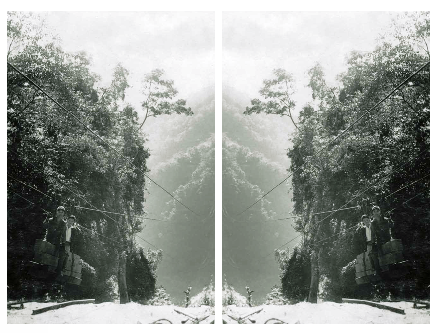 照片5：〈六龜林班地伐木區的流籠〉，六龜山區地形陡峭，卡車便道開設不易，伐木包商會在適當地點架設鋼索，以吊運木頭、物資與人（左：正像，右：水平翻轉影像。授權使用：楊源興）。.PNG