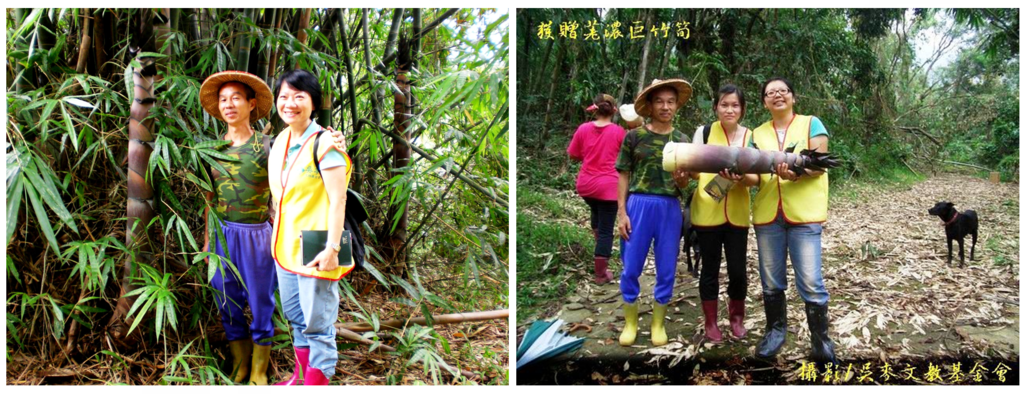 置頂照片：（左）吳麥文教基金會孟秋副執行長、游永福，與比人高的荖濃巨竹筍合影（攝影：許淑卿，2009-08-23）。（右）獲贈之後，吳麥文教基金會同仁愉悅捧著荖濃巨竹筍（攝影：吳麥文教基金會，2009-08-23）.PNG