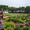 DSCF2890.JPG