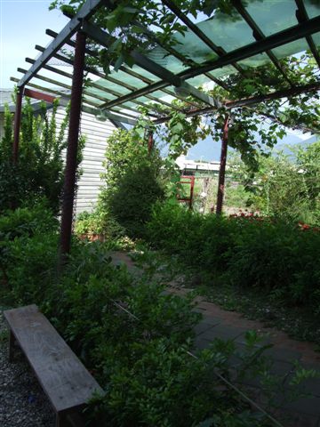 DSCF0378.JPG