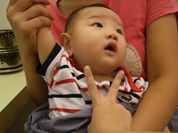 DSCF9511.JPG