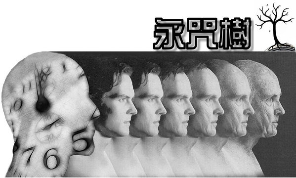 1557a68296f24d-æ°¸åæ¨¹01-1_jpg.jpg 1557a68296f24d-æ°¸åæ¨¹01-1_jpg.jpg