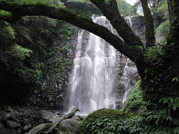 滿月圓森林遊樂區