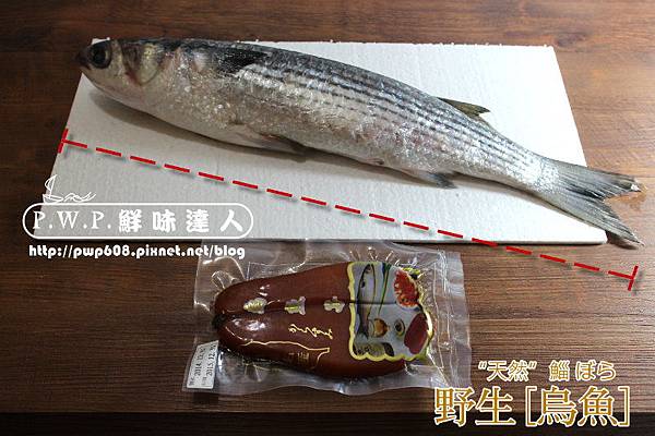 野生烏魚 (4B).jpg