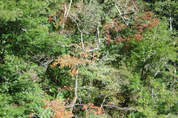 DSC04921.JPG