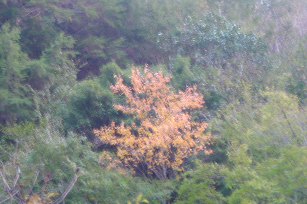DSC04927.JPG