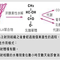 台中拉皮｜液態拉皮｜菲仕美01