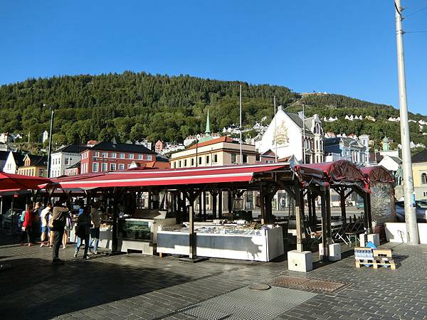 CIMG1997.JPG CIMG1997.JPG