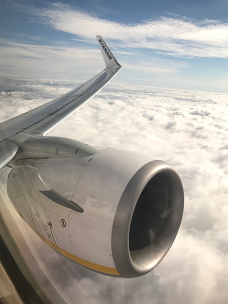 IMG_2729.PNG IMG_2729.PNG