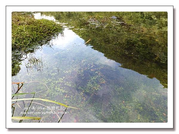 台北近郊夢幻般的仙境