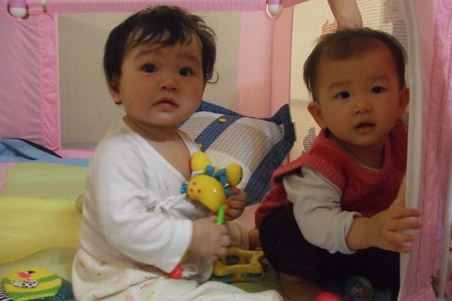 DSCF2554 DSCF2554