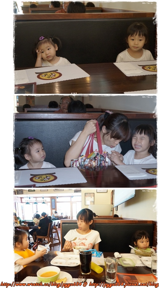 cats10.jpg cats10.jpg