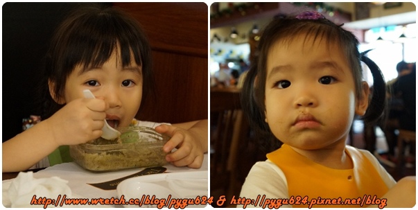 cats11.jpg cats11.jpg