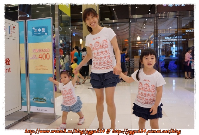 cats12.jpg cats12.jpg