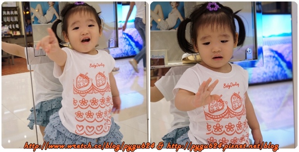 cats13.jpg cats13.jpg