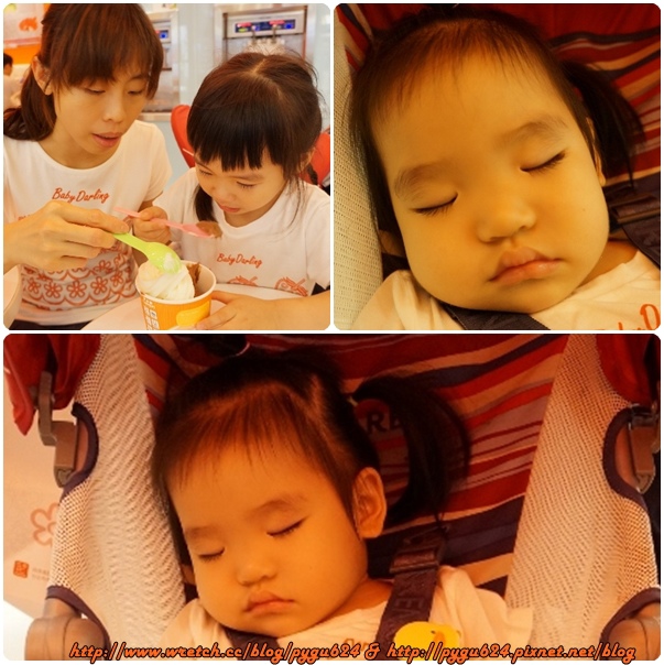 cats15.jpg cats15.jpg