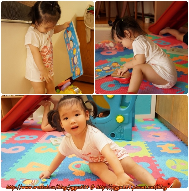 cats16.jpg cats16.jpg