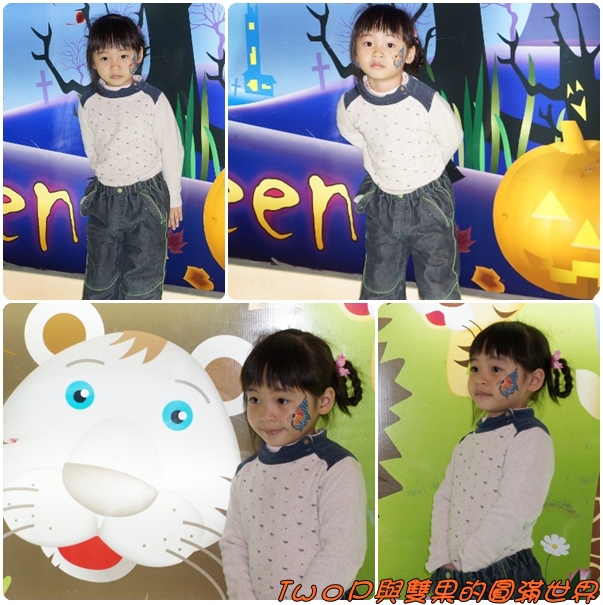 cats20.jpg cats20.jpg