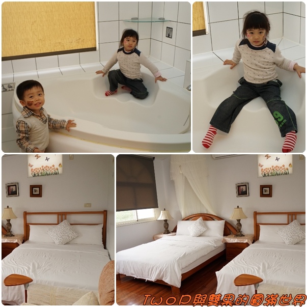 cats36.jpg cats36.jpg