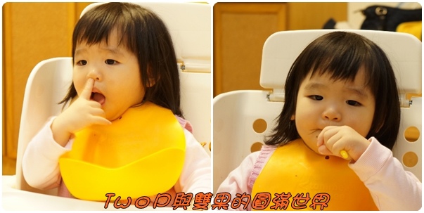 cats13.jpg cats13.jpg