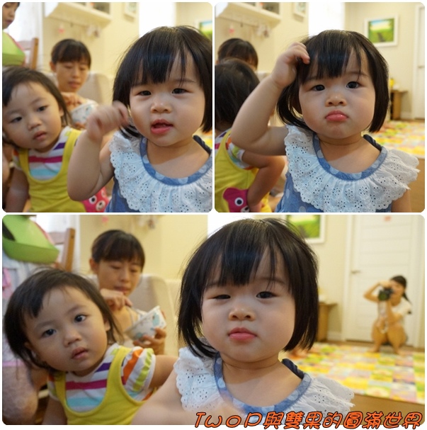 cats11.jpg cats11.jpg