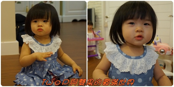 cats14-1.jpg cats14-1.jpg