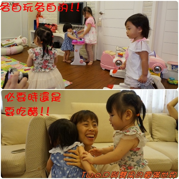 cats15.jpg cats15.jpg