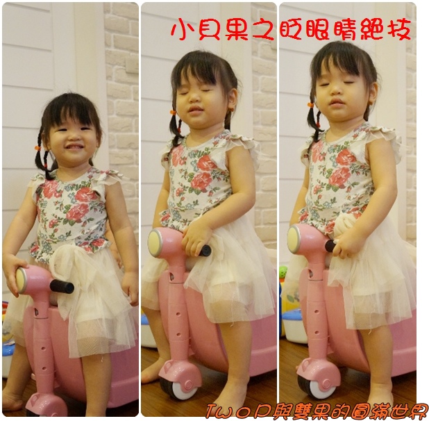 cats17.jpg cats17.jpg