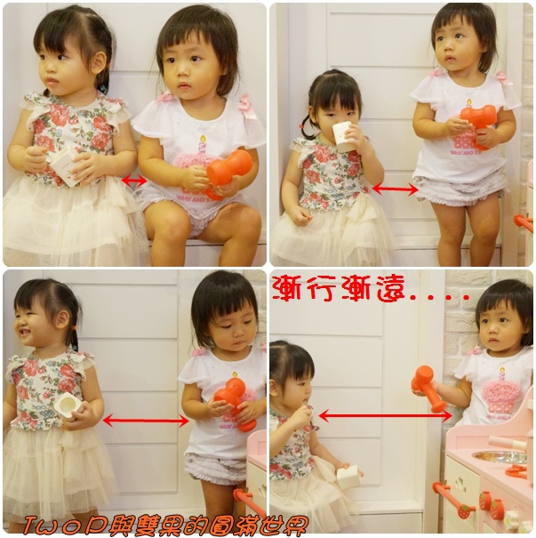 cats23.jpg cats23.jpg