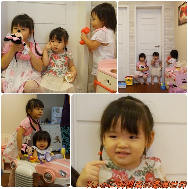 cats25.jpg cats25.jpg