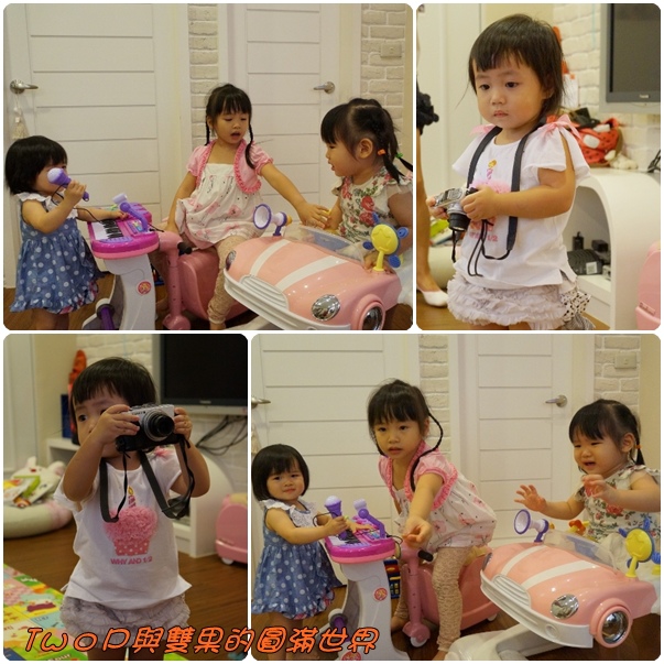 cats26.jpg cats26.jpg