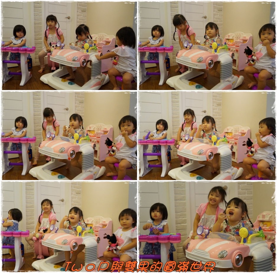 cats27.jpg cats27.jpg