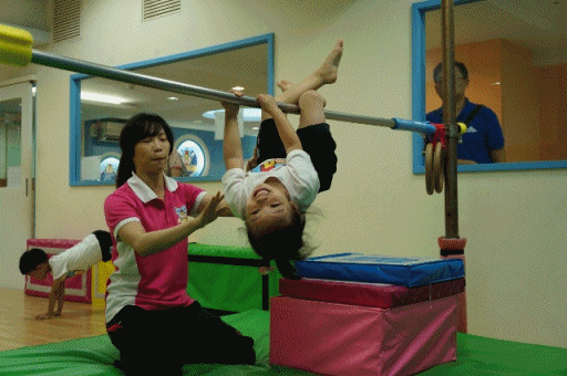 cats11.gif
