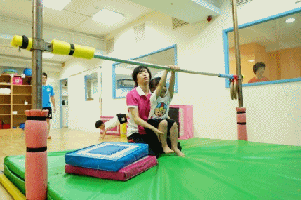 cats17.gif