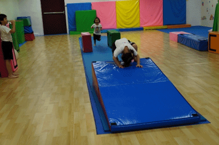 cats43.gif