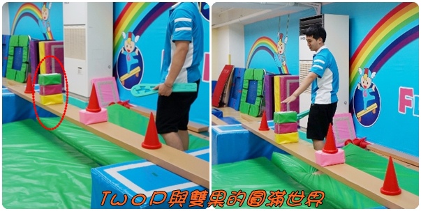 cats16.jpg cats16.jpg