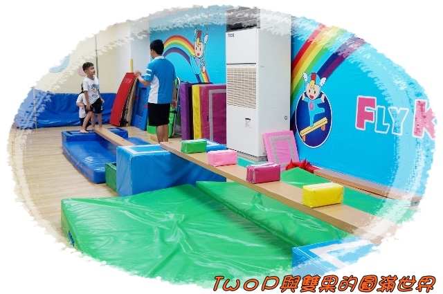 cats21.jpg cats21.jpg