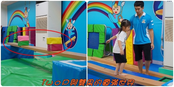 cats24.jpg cats24.jpg