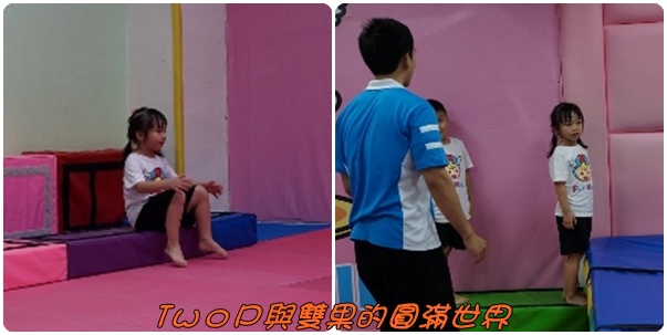 cats31.jpg cats31.jpg