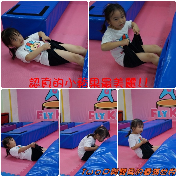 cats34.jpg cats34.jpg