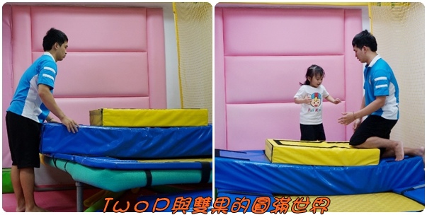 cats36.jpg cats36.jpg