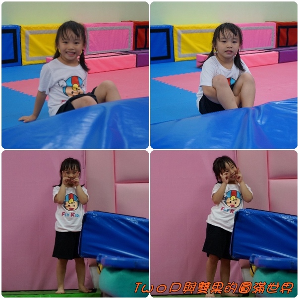 cats38.jpg cats38.jpg