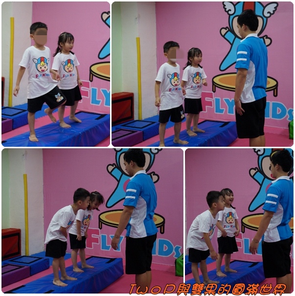 cats43.jpg cats43.jpg