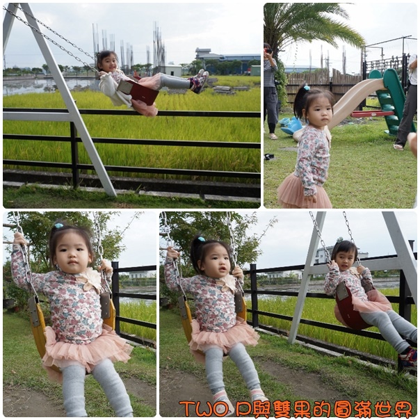 cats6-1.jpg cats6-1.jpg