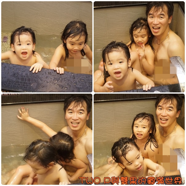 cats43.jpg cats43.jpg