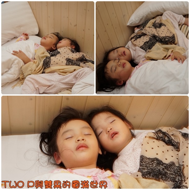 cats44.jpg cats44.jpg