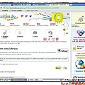 cat8.JPG